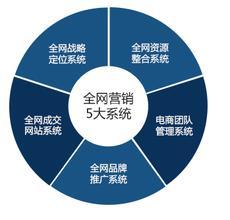 網(wǎng)絡(luò)營(yíng)銷(xiāo)特性、營(yíng)銷(xiāo)型網(wǎng)站與電子商務(wù)平臺(tái)開(kāi)發(fā)運(yùn)營(yíng)的對(duì)比分析